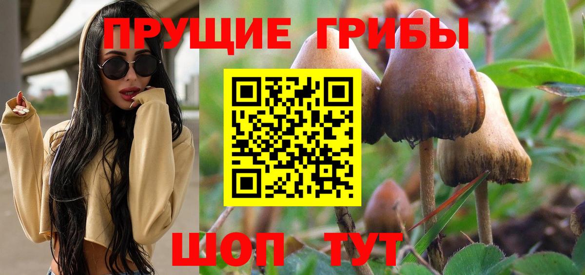 Псилоцибиновые грибы MAGIC MUSHROOMS  Галлюциногенные грибы GOLDEN TEACHER  Псков  Вход с VPN 