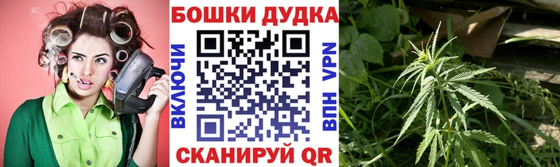 купить наркотики сайты  Псков  Конопля гибрид 